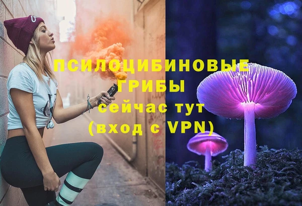 метадон Алексин