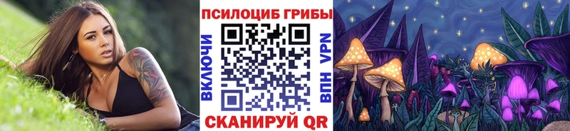 Галлюциногенные грибы Psilocybine cubensis  Покачи 